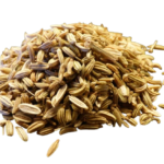 Fennel Seeds